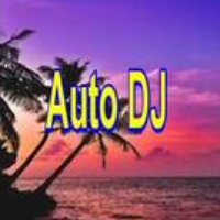 Sommer Auto DJ