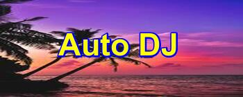 Sommer Auto DJ